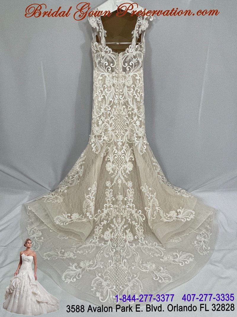 Wedding Gown Cleaning, Preservation, Restoration 59519