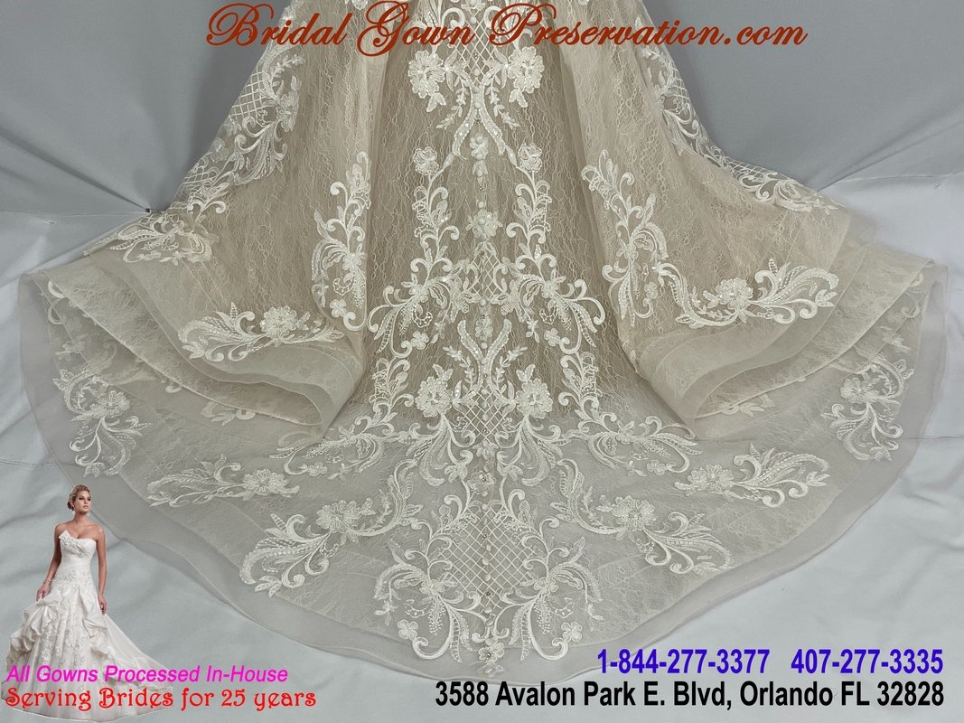 Wedding Gown Cleaning, Preservation, Restoration 59519